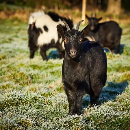 Le Refuge - Le Domaine * Wambrechies